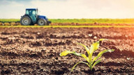 TÜİK: Tarımsal girdi fiyat endeksi yıllık yüzde 18,52 arttı