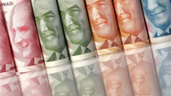 Türk Lirası için "adil değer" 7,50'dir