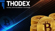 Thodex'in kripto para vurgunuyla ilgili soruşturma yurt dışına sıçradı