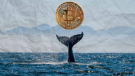 Bitcoin balinaları son düşüşte 3.3 milyar BTC topladı; peki Bitcoin'de son durum ne?