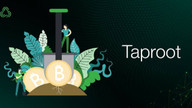 Taproot güncellemesi ne zaman? Bitcoin’in beklenen güncellemesi Taproot’a saatler kaldı
