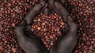Kahve fiyatları Ocak 2012'den beri görülen en yüksek düzeye çıktı