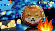 Shiba Coin Nedir? | Shiba Coin Yorum | Shiba Coin Geleceği
