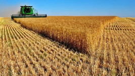 Ocakta tarım ürünleri üretici fiyat endeksi arttı