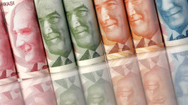Türk Lirası için "adil değer" 7,50'dir