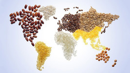Küresel gıda fiyatları 6 yılın zirvesinde