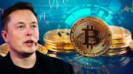Ünlü ekonomistlerden Elon Musk sonrası Bitcoin yorumu!