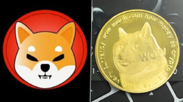 Kripto Savaşı: Shiba Inu (SHIB) VS Dogecoin (DOGE)