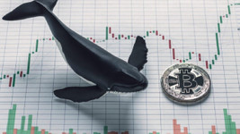 En zengin Bitcoin balinalarından biri 138 milyon dolarlık BTC aldı