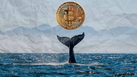 Zincir üzerinde analiz: balinalar Bitcoin'de uzun vadeci
