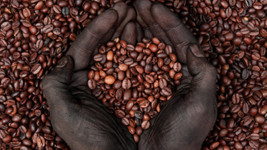 Kahve fiyatları Ocak 2012'den beri görülen en yüksek düzeye çıktı