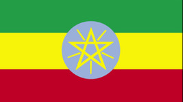 Etiyopya'dan ABD'ye uyarı