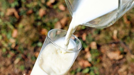 Ulusal Süt Konseyinden KDV indirimi talebi
