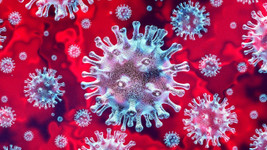 Koronavirüs vakaları düşmek bilmiyor! 168 kişi vefat etti