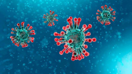 Son Dakika: Türkiye'nin koronavirüs tablosu açıklandı! 31 Ocak 2022
