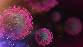 NeoCov virüsü hakkında DSÖ’den yeni açıklama geldi