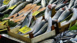 Enflasyon Samsun'u vurmadı: Balık fiyatları 10 TL ile 30 TL arasında!