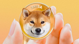 Shiba Coin Neden Yükseldi? 7 Şubat 2022 Shiba Neden Yüksek?