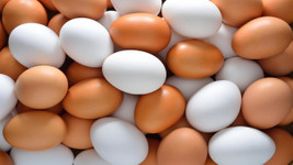 Bir yılda yüzde 240 zam geldi! Yumurta fiyatı ne kadar?