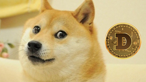 Dogecoin (DOGE) nedir? Dogecoin'in geleceği 2022