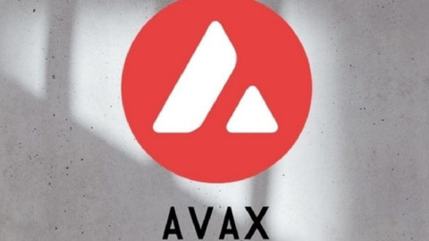 Avax, 230 milyon dolarlık yatırımını azaltma kararı