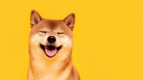 Shiba Inu, Twitter hesabından merak uyandıran bir paylaşım yaptı