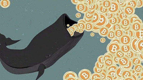 Bitcoin Balinası Uyandı: 25 Milyon Dolarlık Bitcoin El Değiştirdi