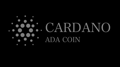 Cardano'dan 1.000 akıllı sözleşme daha Blockchain neredeyse doldu!