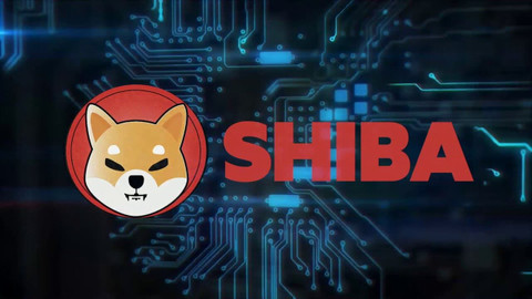 Shiba coin 1 dolar olur mu? Shiba coin geleceği , Shiba coin yorum