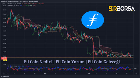 Fil Coin Nedir? | Fil Coin Yorum | Fil Coin Geleceği