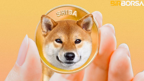 Shiba Inu geleceği ne olacak? Analistten önemli tahmin!