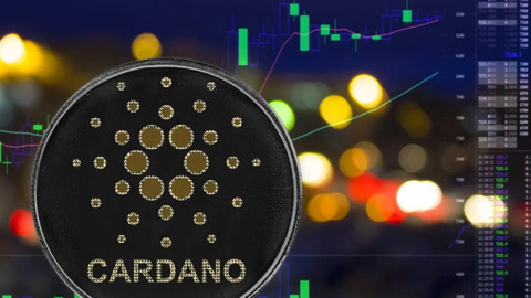 Cardano’da yeni bir proje ön plana çıkıyor! Hoskinson’dan yeni proje ile ilgili açıklama geldi