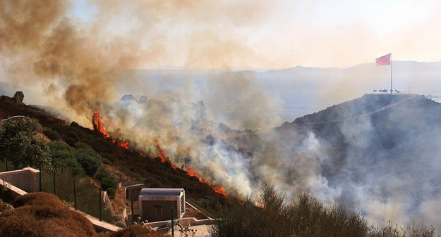 Türkiye'de yangınlar ne durumda? 98 yangının 88'i kontrol altında; can kayıpları var - Resim : 3