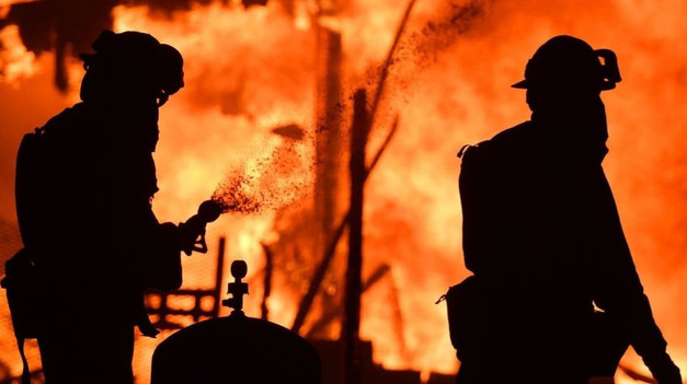 Türkiye'de yangınlar ne durumda? 98 yangının 88'i kontrol altında; can kayıpları var - Resim : 4