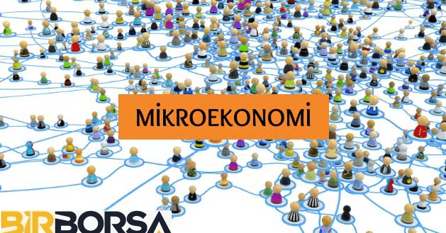 mikroekonomi nedir?