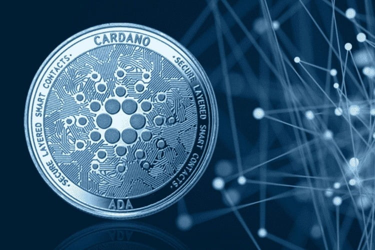 cardano coin