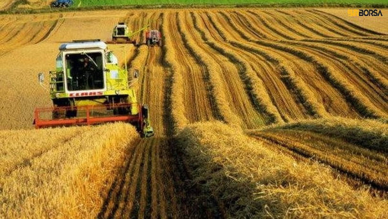 TÜİK: Tarımsal girdi fiyat endeksi aylık yüzde 4,17, yıllık yüzde 29,58 arttı