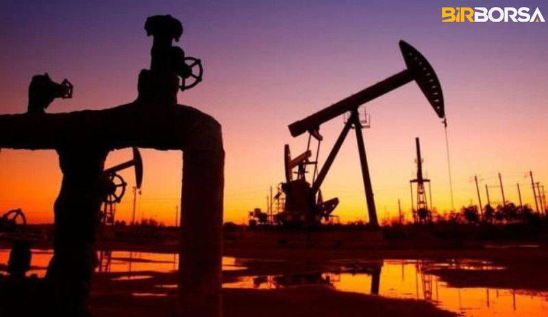 Türkiye'nin petrol ithalatı yüzde 24,25 arttı