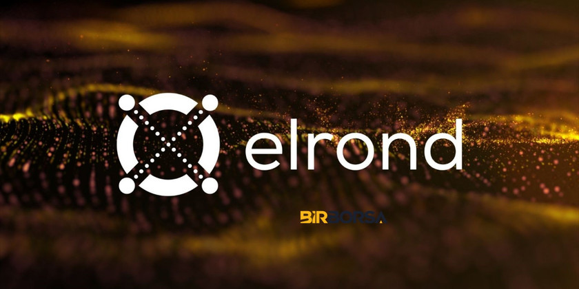 elrond coin nedir