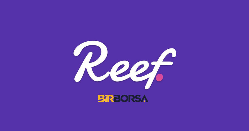 reef coin yorum