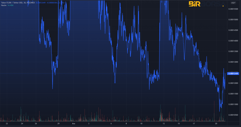 Floki Inu coin grafik