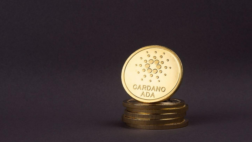 cardano coin