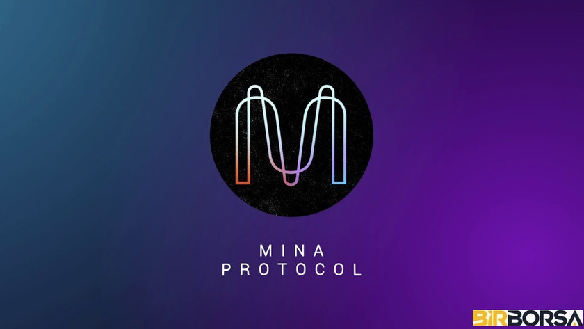 mina coin