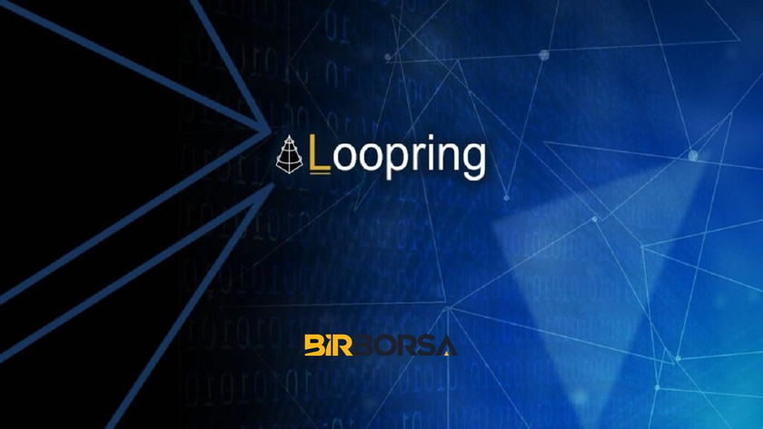 loopring coin nedir