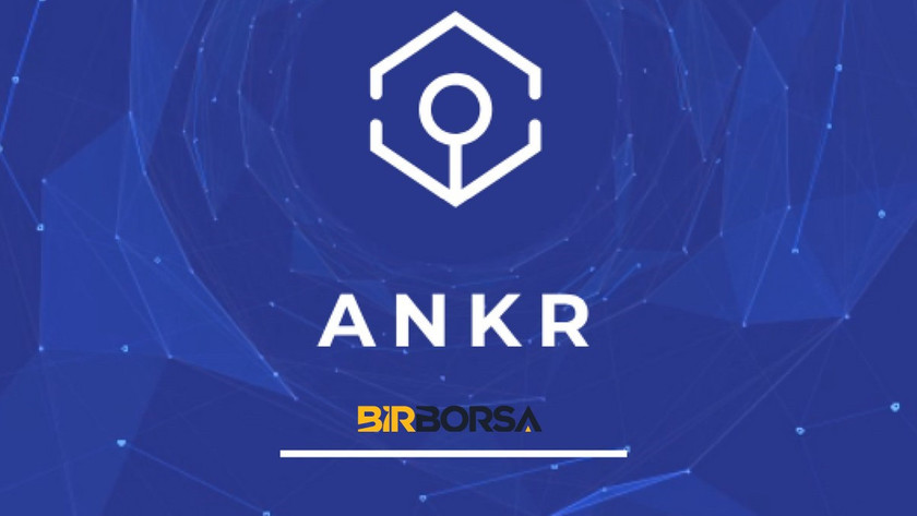 ankr coin geleceği, ankr coin kimin