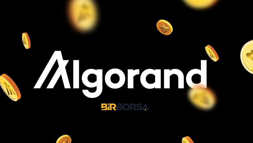 algorand coin nedir