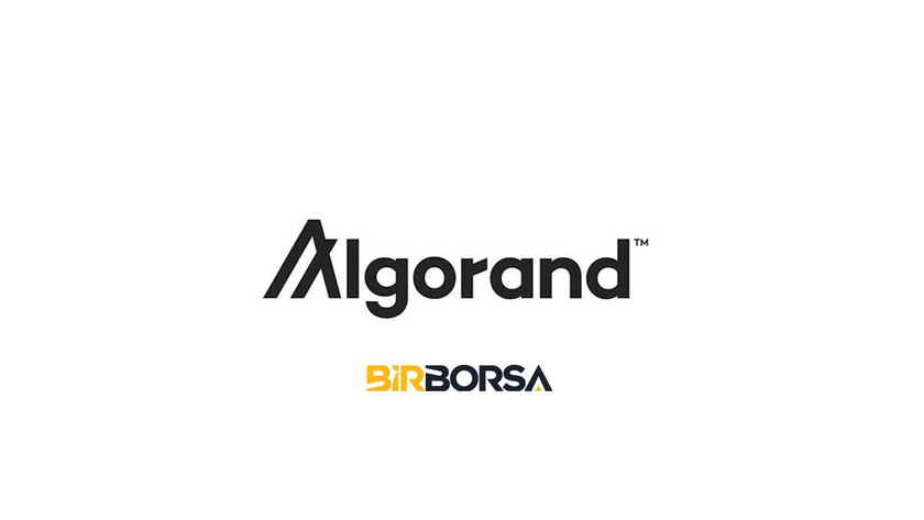 algorand coin yorum