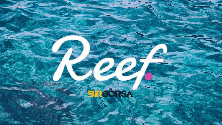 reef coin nedir