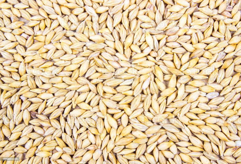 Buğday ithalatı piyasalarda artış gösterdi - Resim : 1