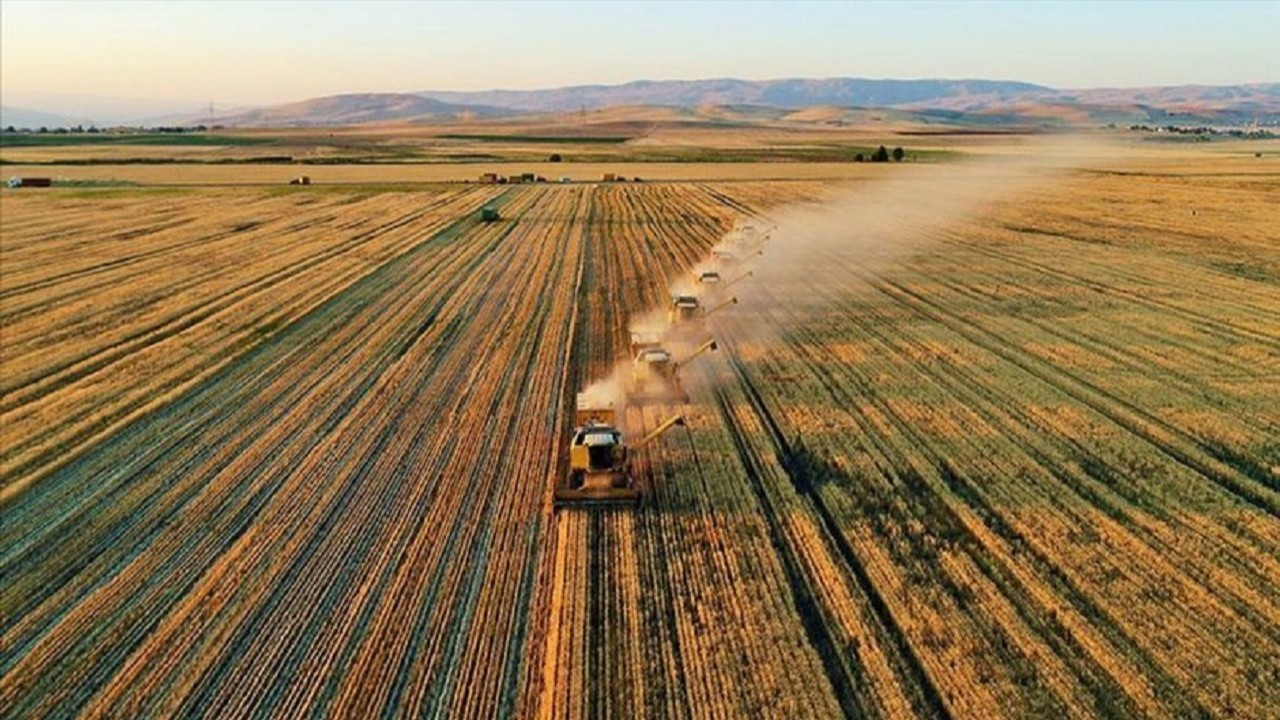 Tarım-ÜFE kasım ayında yüzde 4,57 artış kaydetti